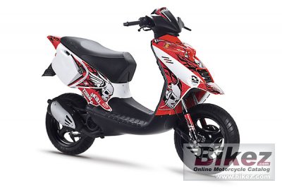2010 Beta ARK LC Skull photo